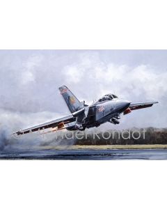 Tornado F3. Firebird, 56 Squadron