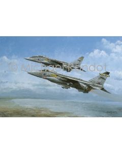Sepecat Jaguar Golden Years 54 Squadron