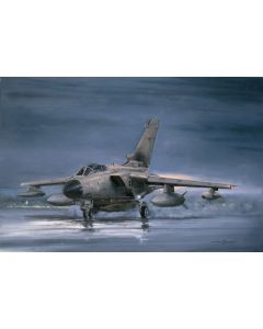 Gulf War Tornado GR1