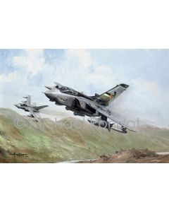 Tornado GR4. 12 Squadron. Leads The Field