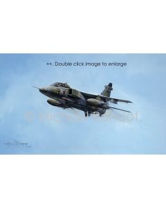 RAF Sepecat Jaguar Low Flyby 