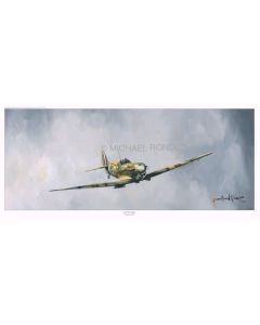 Supermarine Spitfire 41 Squadron