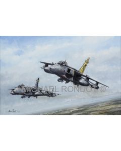 54 Squadron Farewell. RAF Coltishall Jaguar 