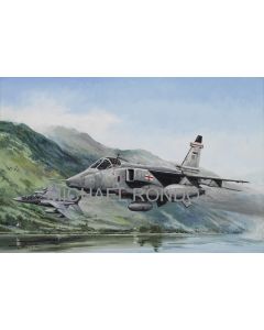 SWANSONG Sepecat Jaguar GR3