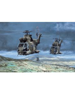 Tiger Patrol Westland Puma